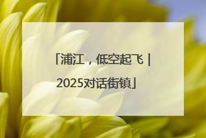 浦江，低空起飞｜2025对话街镇