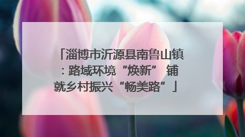 淄博市沂源县南鲁山镇：路域环境“焕新” 铺就乡村振兴“畅美路”