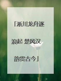 淅川龙舟逐浪起 楚风汉韵贯古今