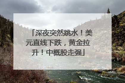深夜突然跳水！美元直线下跌，黄金拉升！中概股走强