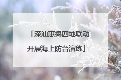 深汕惠揭四地联动开展海上防台演练