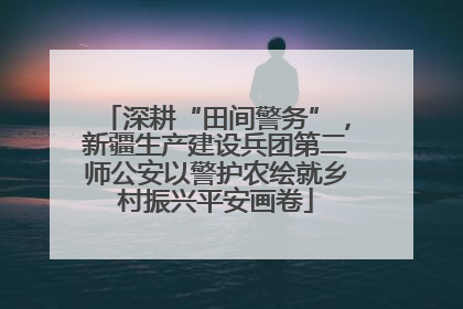 深耕“田间警务”，新疆生产建设兵团第二师公安以警护农绘就乡村振兴平安画卷