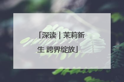 深读｜茉莉新生 跨界绽放
