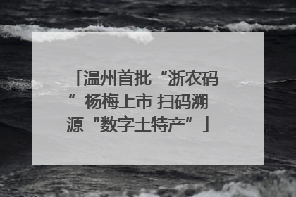 温州首批“浙农码”杨梅上市 扫码溯源“数字土特产”