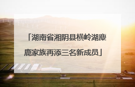 湖南省湘阴县横岭湖麋鹿家族再添三名新成员