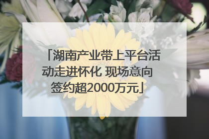 湖南产业带上平台活动走进怀化 现场意向签约超2000万元