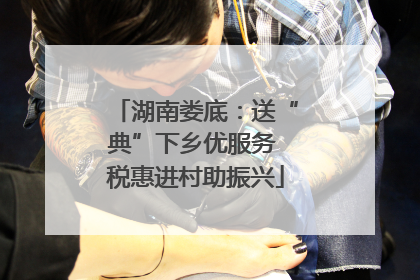 湖南娄底：送“典”下乡优服务 税惠进村助振兴