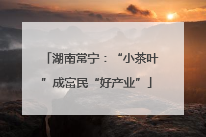 湖南常宁：“小茶叶”成富民“好产业”