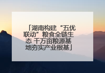 湖南构建“五优联动”粮食全链生态 千万亩粮源基地夯实产业根基