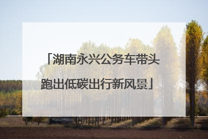 湖南永兴公务车带头跑出低碳出行新风景