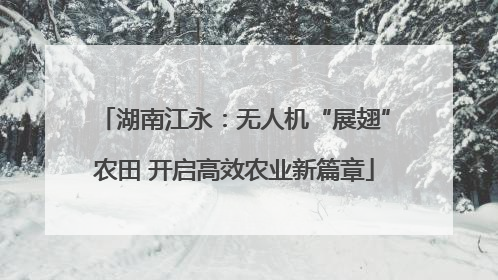 湖南江永：无人机“展翅”农田 开启高效农业新篇章