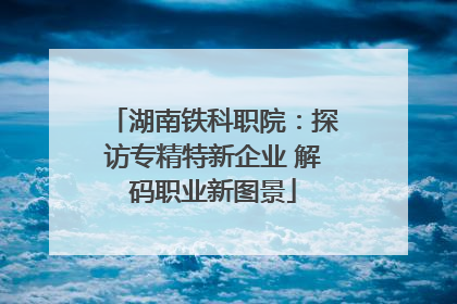 湖南铁科职院：探访专精特新企业 解码职业新图景