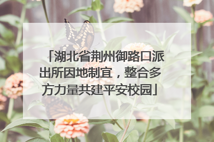 湖北省荆州御路口派出所因地制宜，整合多方力量共建平安校园