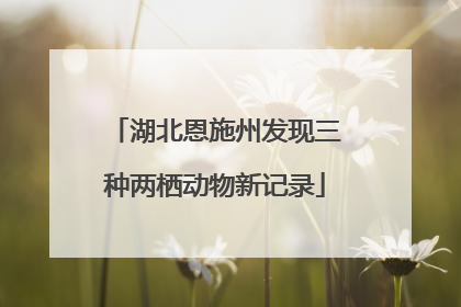 湖北恩施州发现三种两栖动物新记录