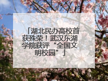 湖北民办高校首获殊荣！武汉东湖学院获评“全国文明校园”