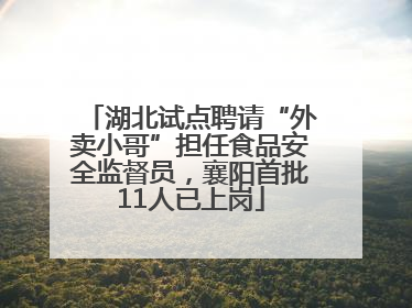 湖北试点聘请“外卖小哥”担任食品安全监督员，襄阳首批11人已上岗