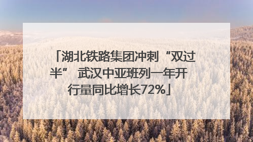 湖北铁路集团冲刺“双过半” 武汉中亚班列一年开行量同比增长72%
