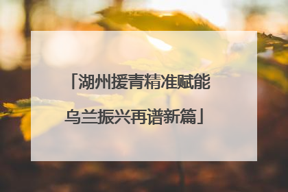 湖州援青精准赋能 乌兰振兴再谱新篇