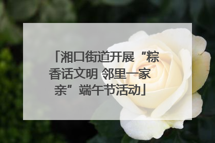 湘口街道开展“粽香话文明 邻里一家亲”端午节活动