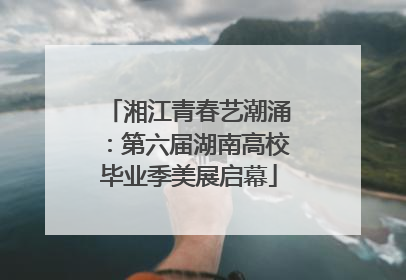 湘江青春艺潮涌：第六届湖南高校毕业季美展启幕