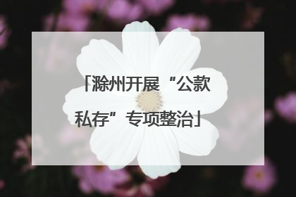 滁州开展“公款私存”专项整治