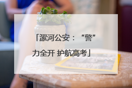 漯河公安：“警”力全开 护航高考