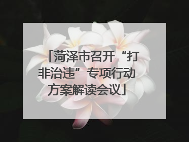 菏泽市召开“打非治违”专项行动方案解读会议