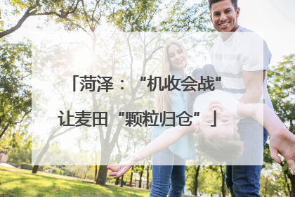 菏泽：“机收会战”让麦田“颗粒归仓”