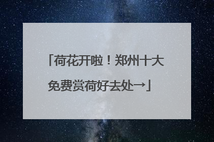 荷花开啦！郑州十大免费赏荷好去处→