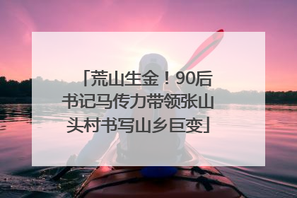 荒山生金！90后书记马传力带领张山头村书写山乡巨变