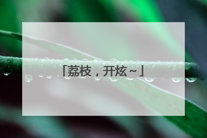 荔枝，开炫～