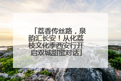 荔香传丝路，泉韵汇长安！从化荔枝文化季西安行开启双城甜蜜对话