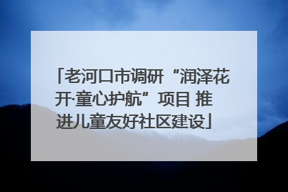 老河口市调研“润泽花开·童心护航”项目 推进儿童友好社区建设