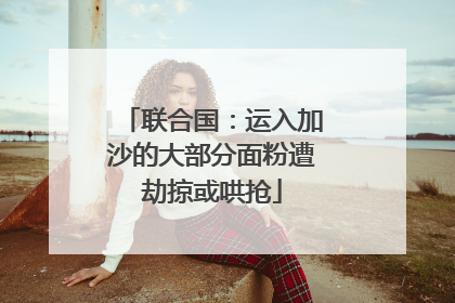 联合国：运入加沙的大部分面粉遭劫掠或哄抢