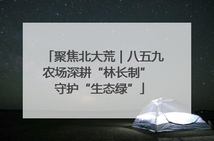 聚焦北大荒｜八五九农场深耕“林长制” 守护“生态绿”
