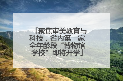 聚焦审美教育与科技，省内第一家全年龄段“博物馆学校”即将开学