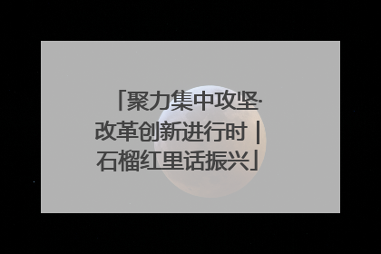 聚力集中攻坚·改革创新进行时｜石榴红里话振兴