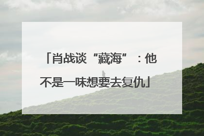 肖战谈“藏海”：他不是一味想要去复仇