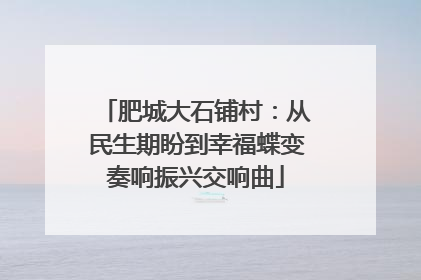肥城大石铺村：从民生期盼到幸福蝶变奏响振兴交响曲