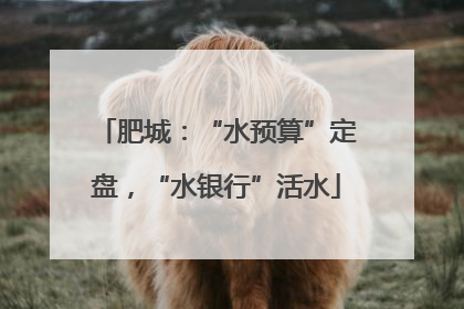 肥城：“水预算”定盘，“水银行”活水