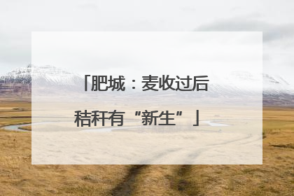 肥城：麦收过后秸秆有“新生”