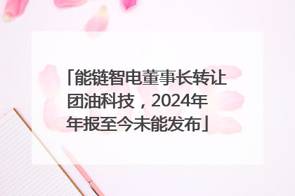 能链智电董事长转让团油科技，2024年年报至今未能发布