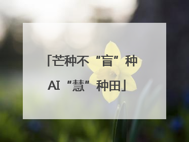 芒种不“盲”种 AI“慧”种田