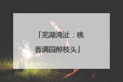 芜湖湾沚：桃香满园醉枝头
