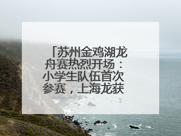 苏州金鸡湖龙舟赛热烈开场：小学生队伍首次参赛，上海龙获国际组冠亚军