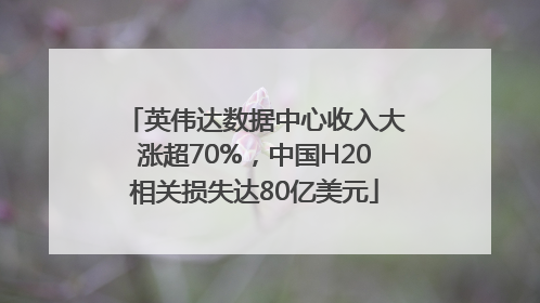 英伟达数据中心收入大涨超70%，中国H20相关损失达80亿美元