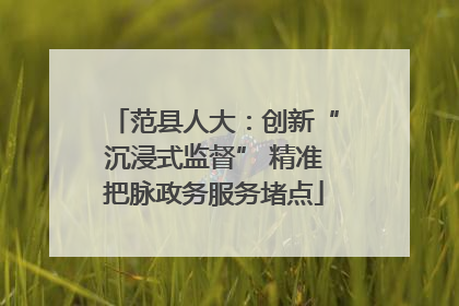 范县人大：创新“沉浸式监督” 精准把脉政务服务堵点