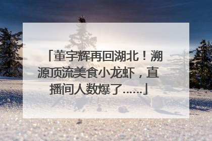 董宇辉再回湖北！溯源顶流美食小龙虾，直播间人数爆了……