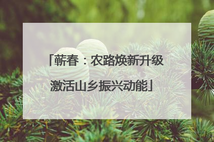 蕲春：农路焕新升级 激活山乡振兴动能
