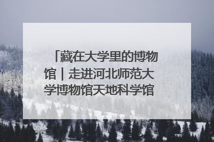 藏在大学里的博物馆｜走进河北师范大学博物馆天地科学馆：在校园里赴一场“宇宙之约”